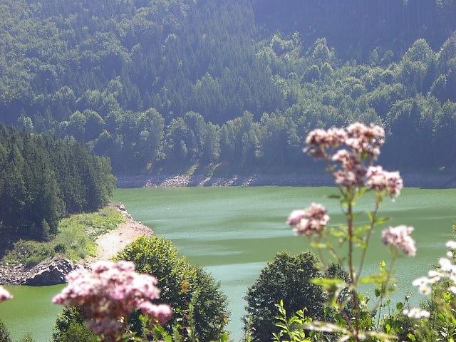 Rodinné ubytování na Habeši Crhov Exteriér fotografie